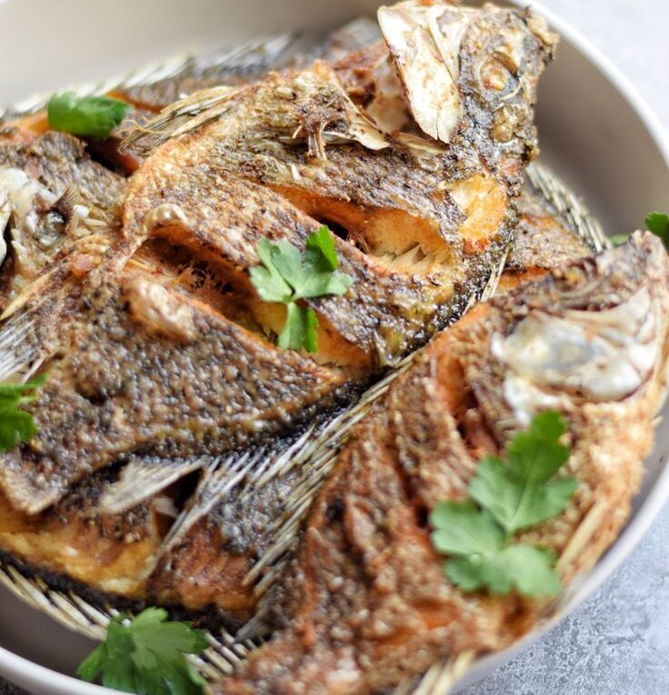 baby tilapia baby tilapia