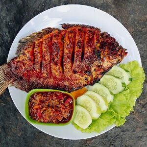 tilapia
